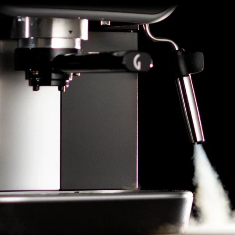 Gaggia Carezza Deluxe 6