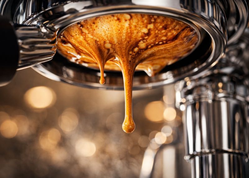 Lelit Bianca V3 vs ECM Synchronika 7