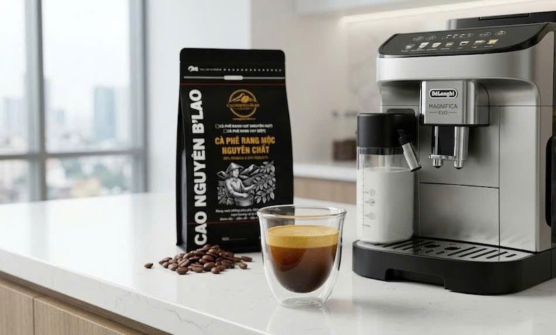 điểm số cupping sca của hạt cafe specialty 3