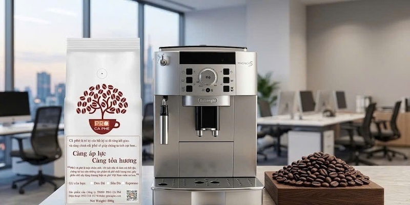 hạt cafe robusta buôn ma thuột rang mộc 2