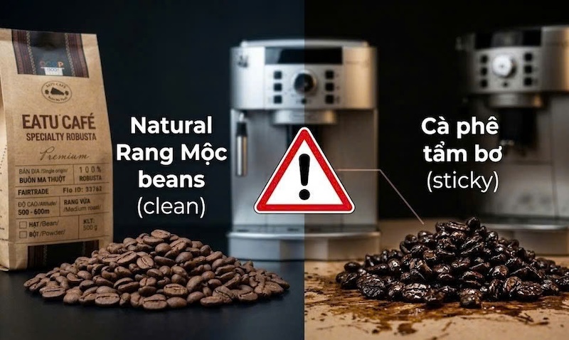 hạt cafe specialty thượng hạng 1