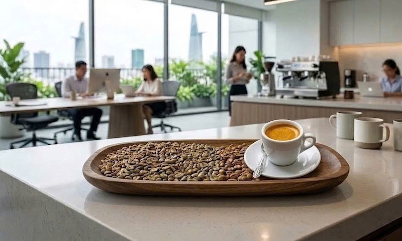 phân biệt hạt cafe robusta s18 và s16